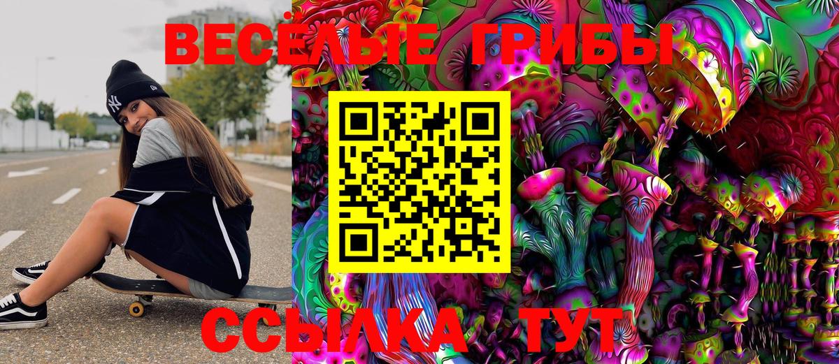 Псилоцибиновые грибы Cubensis Десногорск